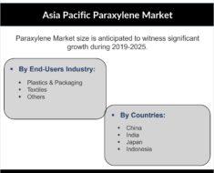 Asia Pacific Paraxylene Market |<br>Growth, Trends Analysis & Forecasts<br>– 6Wresearch